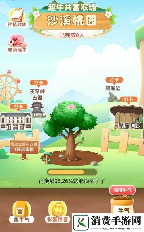 蜜芽国精产品一二三产区的独特魅力与发展探索