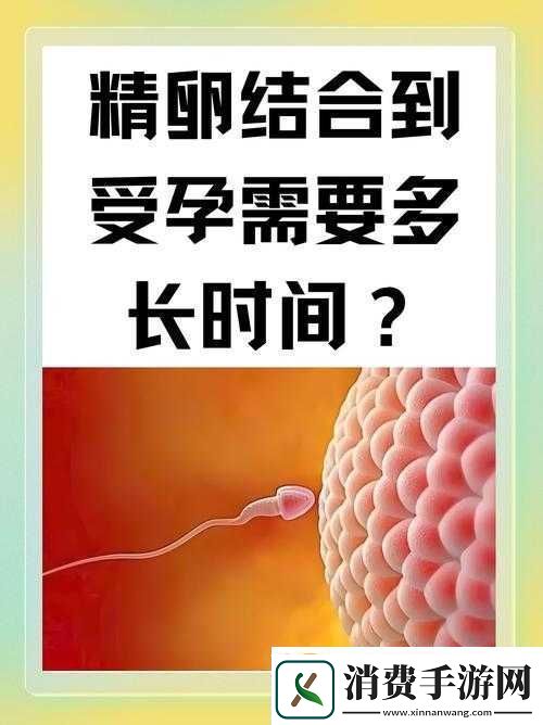 男女上下拱91背后的奇妙探索与发现