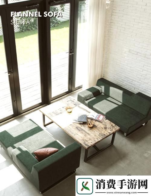 国产精选午睡沙发系列999