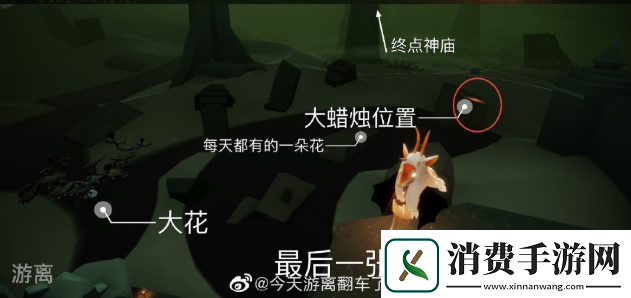 光遇11月2日大蜡烛位置介绍