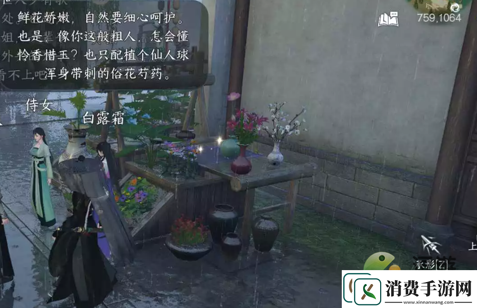 逆水寒手游有花堪折佳偶天成任务完成攻略