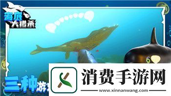 中土世界战争之影兽人品质怎么升级