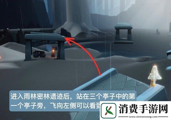 光遇雨林鱼叫先祖在哪里