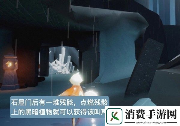 光遇雨林鱼叫先祖在哪里