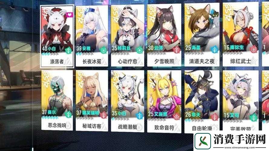 猫之城角色搭配策略及顶尖阵容组合推荐指南