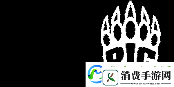 Imperialfe众选手谈无缘IEM卡托维兹正赛