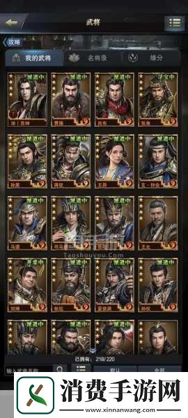 三国群英传霸王之业孔雀台玩法与十大美人全揭秘