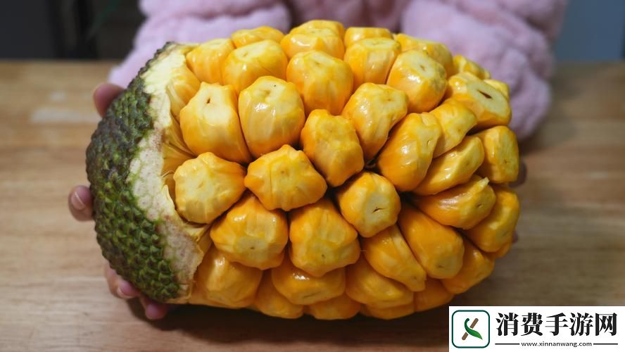 菠萝蜜在线观看免费观看