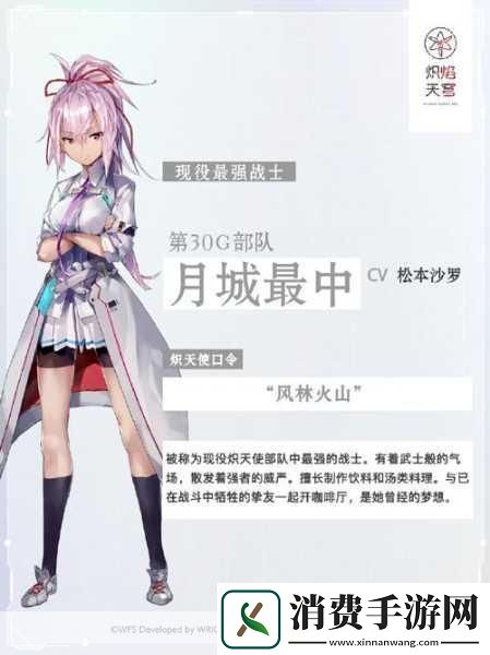 炽焰天穹开局SS角色精选指南