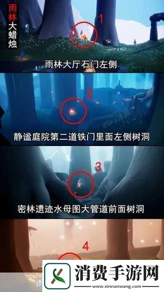 揭秘光遇奇幻世界