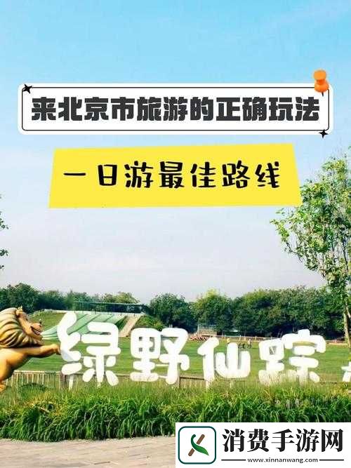 仙踪林最新官方入口欢迎您