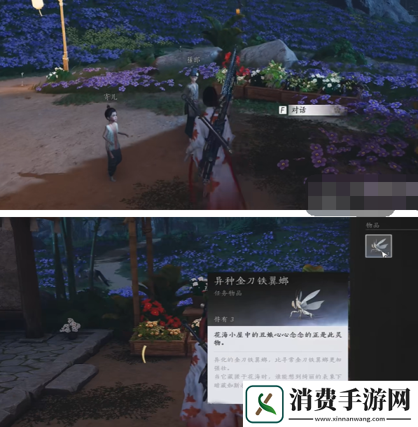 燕云十六声花海无颜奇遇攻略