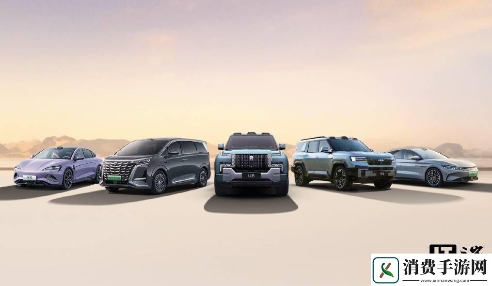 2025年1月国产车销量**拼