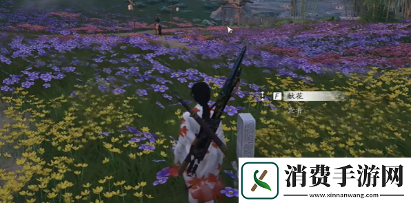 燕云十六声花海无颜奇遇攻略