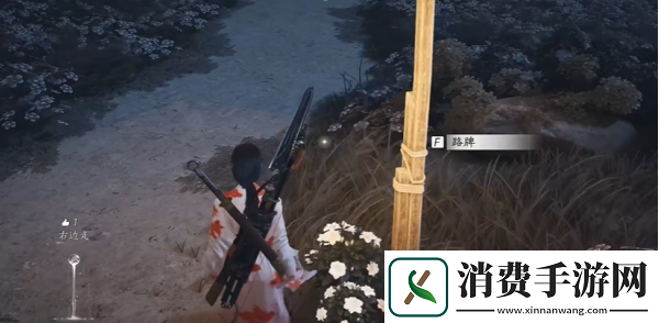 燕云十六声花海无颜奇遇攻略