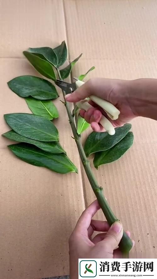 女性坐着扦插BB有哪些具体好处