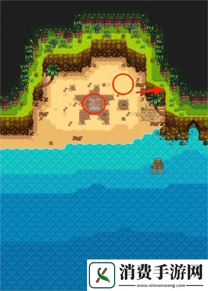 星露谷物语姜岛南部金核桃获取途径介绍