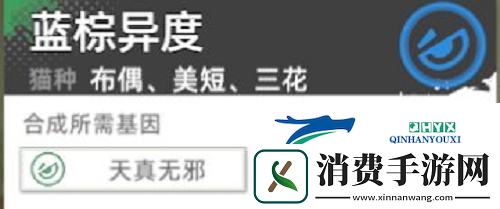 猫之城主题猫怎么获得