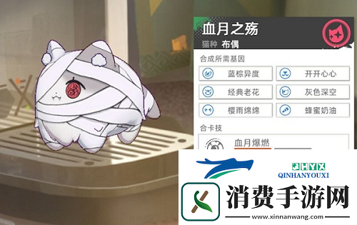 猫之城主题猫怎么获得