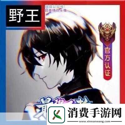 王者荣耀5黑头像设置全攻略