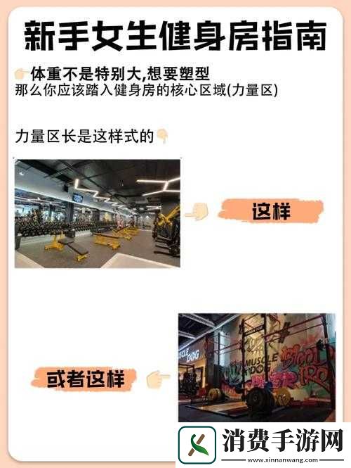 新手必看！萌将么么哒全面指南