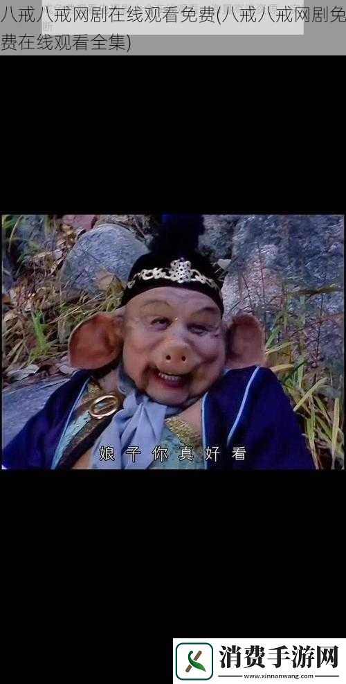 八戒八戒剧在线观看免费八戒八戒剧免费在线观看全集