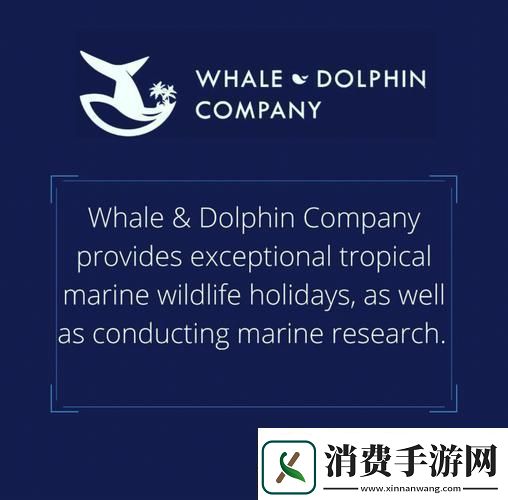 grw是什么意思一篇文章带你了解grw