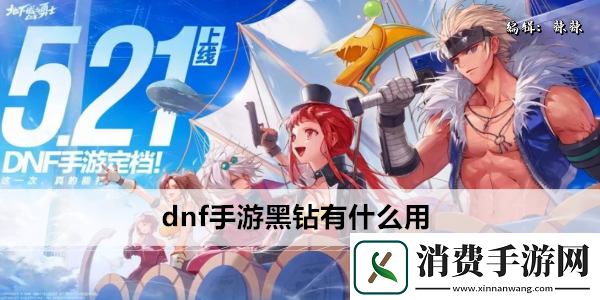 dnf手游黑钻有什么用