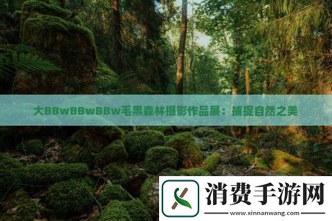 大BBwBBwBBw毛黑森林摄影作品展