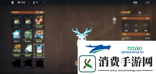 狩猎时刻怎么抓宠物