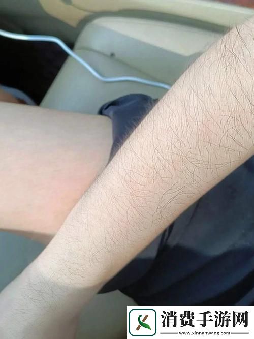 探索“四川BBBBB毛毛多”的魅力与生态