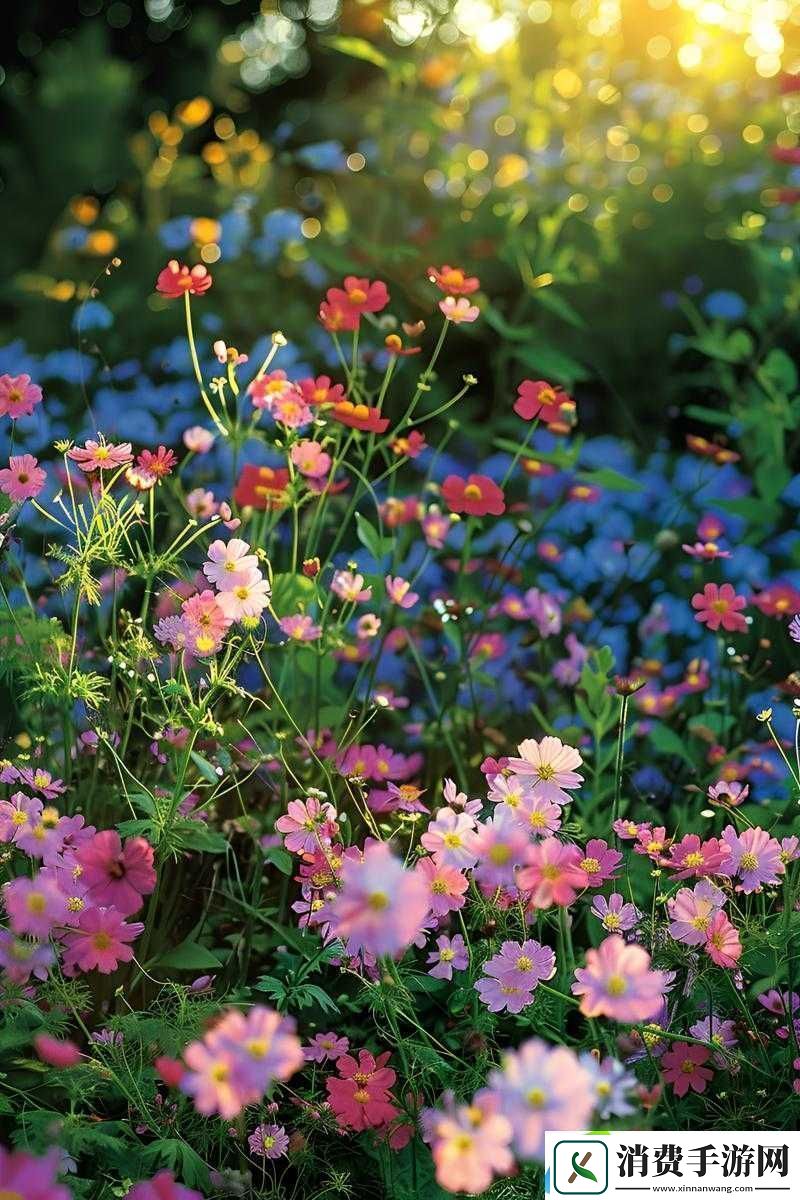 野花日本大全免费高清
