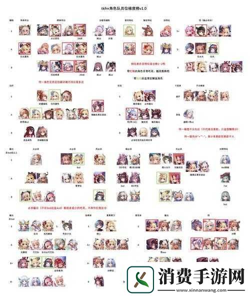 命运神界SSR角色深度解析