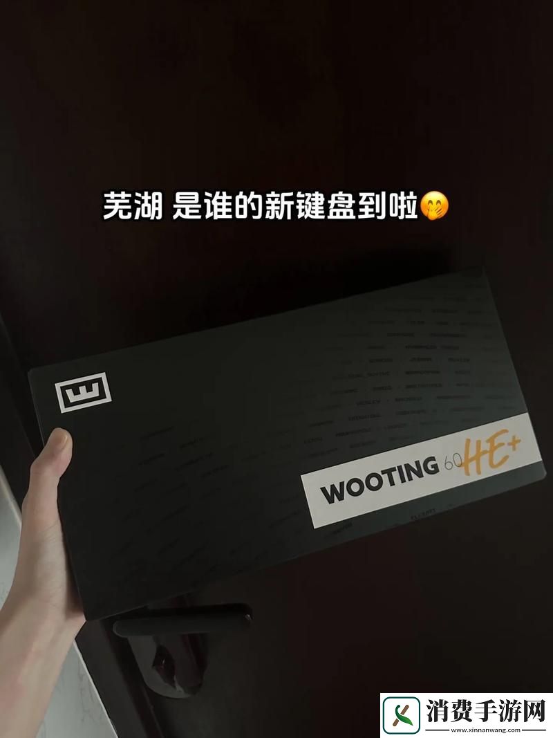 csgo暴躁少女免费