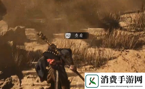 黑神话悟空小骊龙位置在哪游戏内环境音效与战斗氛围