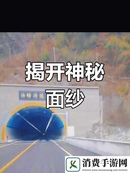九一一区二区