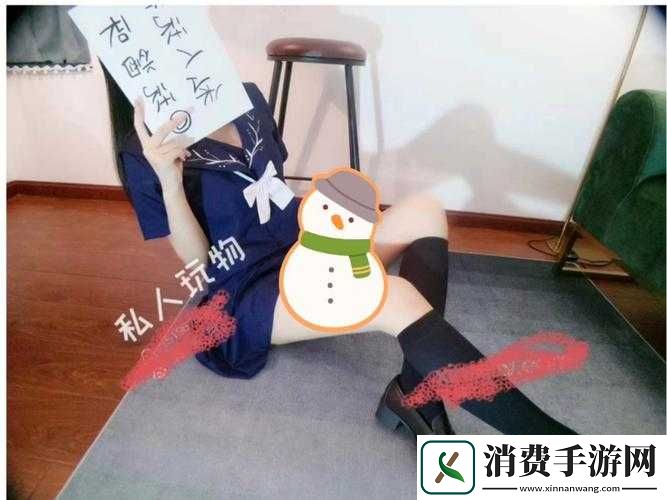 私人玩物在线视频免费观看