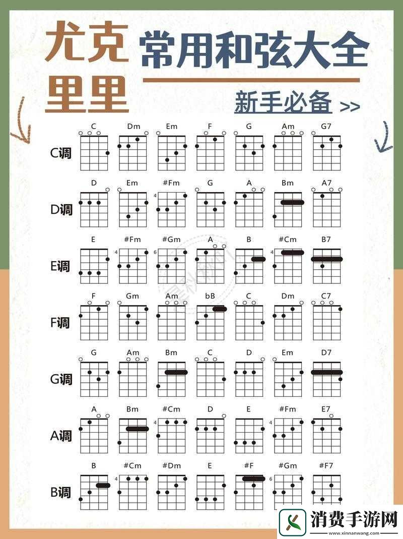 纯白和弦新手入门指南
