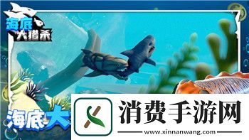 月圆之夜骑士流派详解