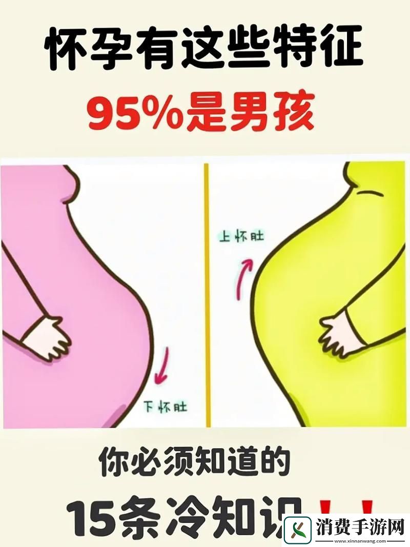 儿子我还怀着孕呢小心肚子揭秘