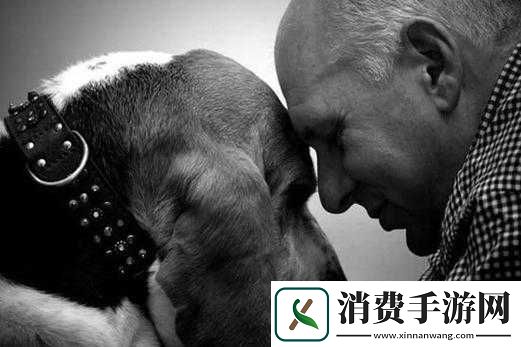 与动物的奇妙互动