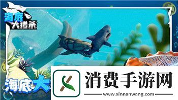 泰拉瑞亚灾厄最强饰品搭配的样式与策略