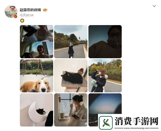 为复工做准备！赵露思分享养宠修养