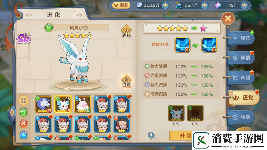 宠物升星进化全方位攻略