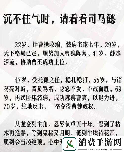 新手玩家必备指南