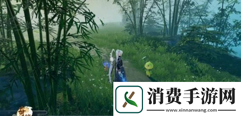 梦幻新诛仙天道奇缘任务怎么过