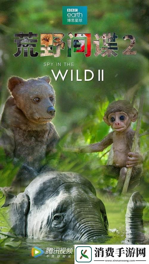 99无人区码一码二码三码四码