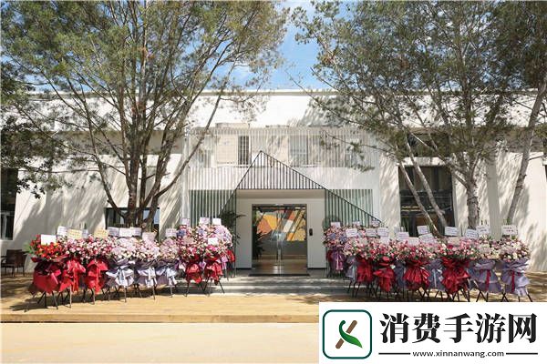 韶愔音乐娱乐扬帆起航