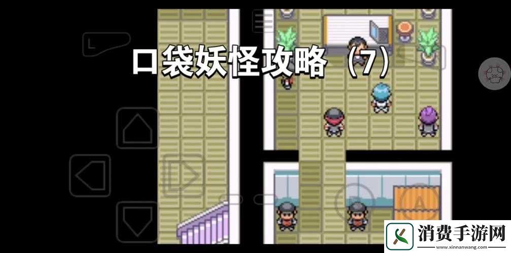 口袋妖怪3D深度攻略