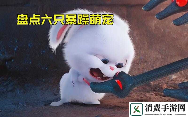 探索落樱散华抄卡牌世界